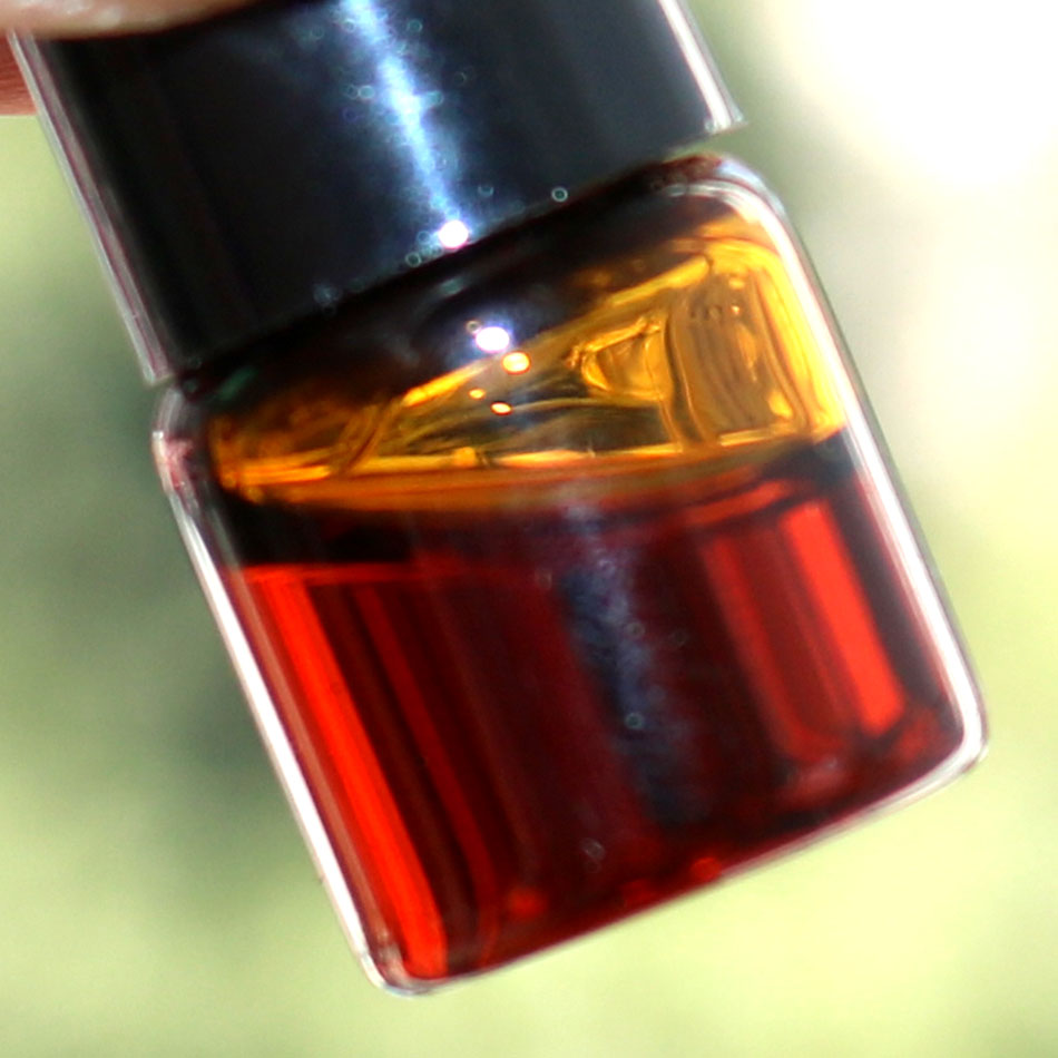1ml/bottle Authentic Natural C - Sandalwood Perfume Oil ulasan dan harga