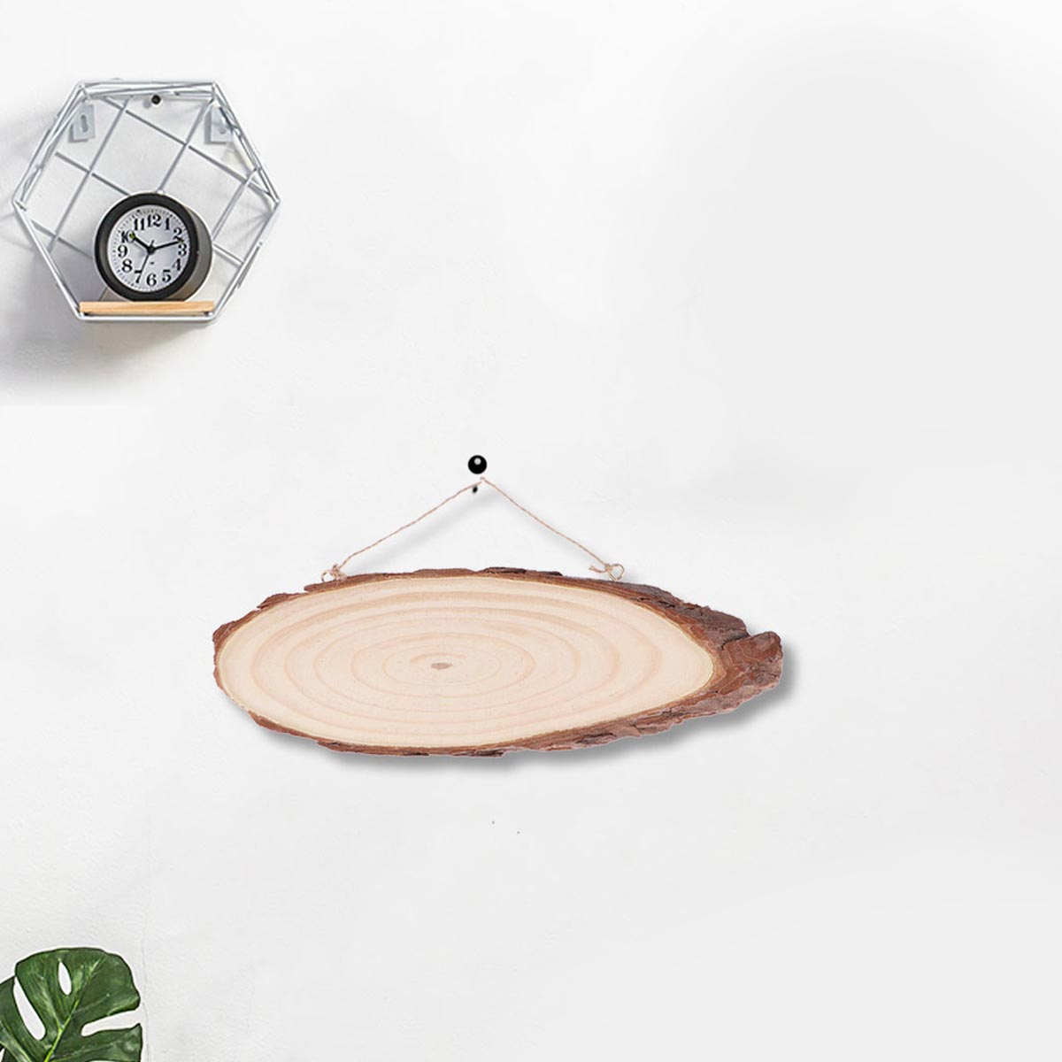 Wooden Slices 26x7x1cm Double  - Oud Wood Chip ulasan dan harga