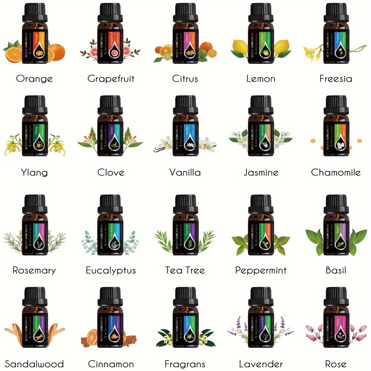 20pcs/set Essential Oil Set La - Perfume Fragrance Essence ulasan dan harga