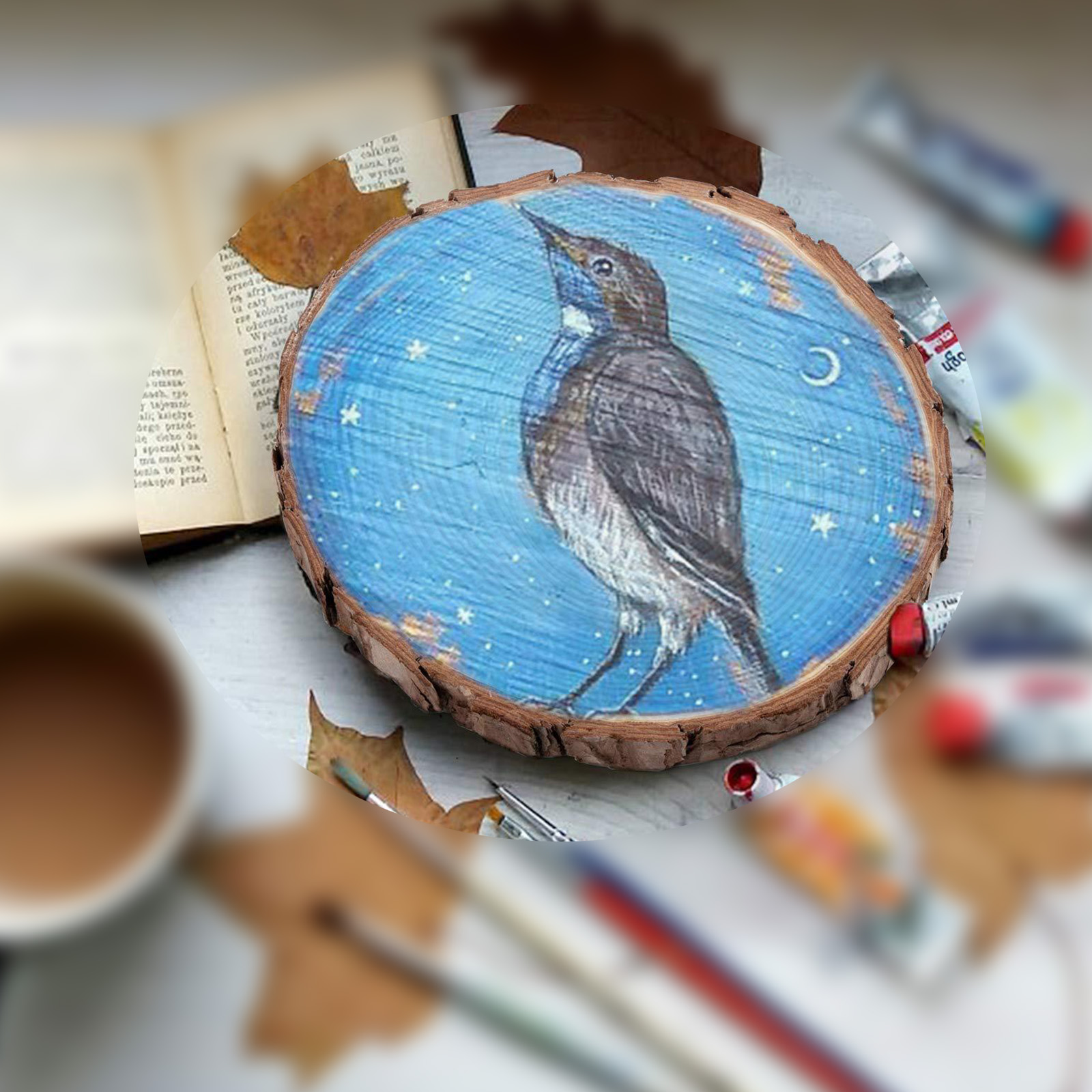 12pcs Wood Slices  Thicken Pin - Oud Wood Chip ulasan dan harga