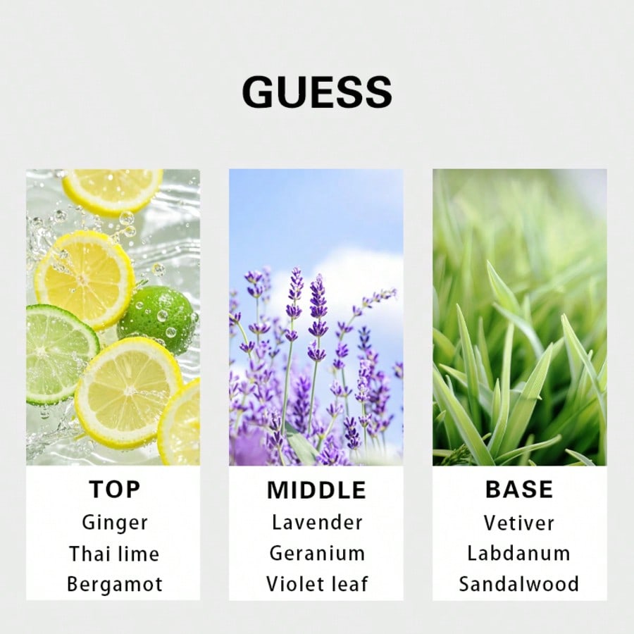 Guess Forever men Eau De Toile - Fragrance Perfume Usa ulasan dan harga